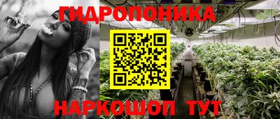 амф Кулебаки