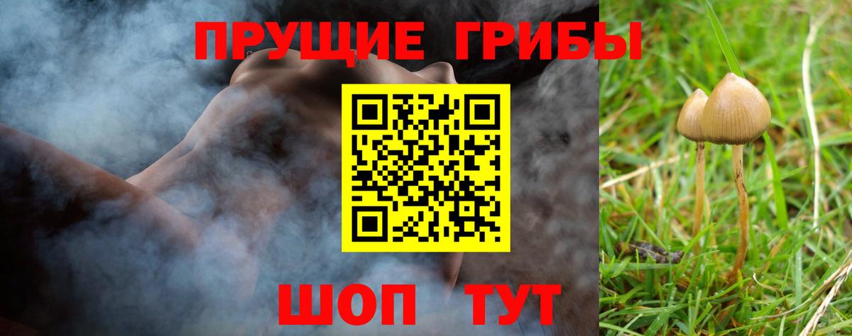 Зима  Галлюциногенные грибы мицелий  Вход с VPN 